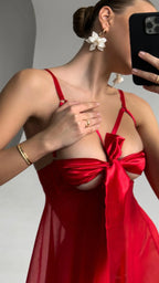 Valentina's Bow